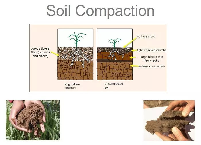 Organic Soil Solutions