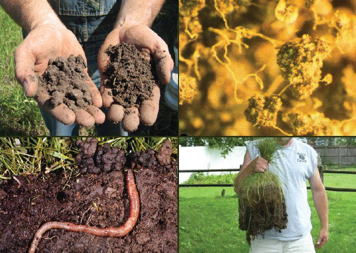 Organic Soil Solutions